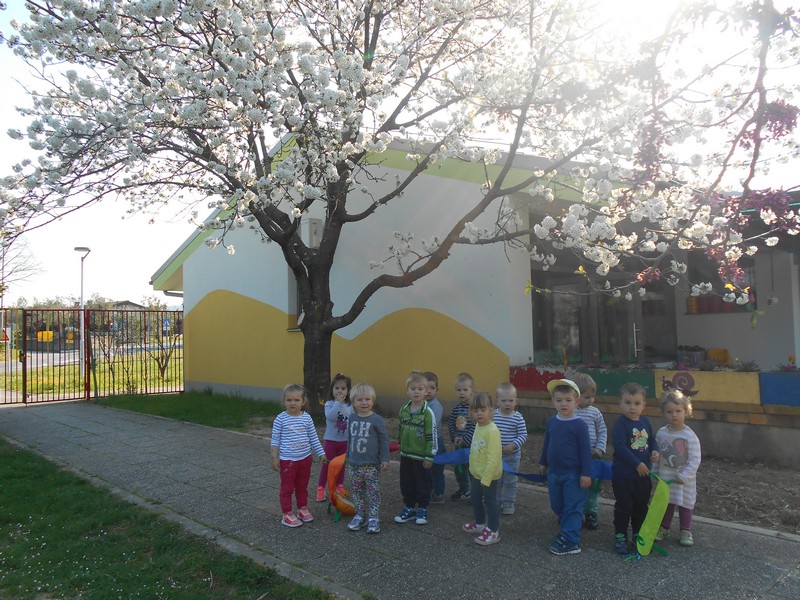 cebele_apr_2017_0001