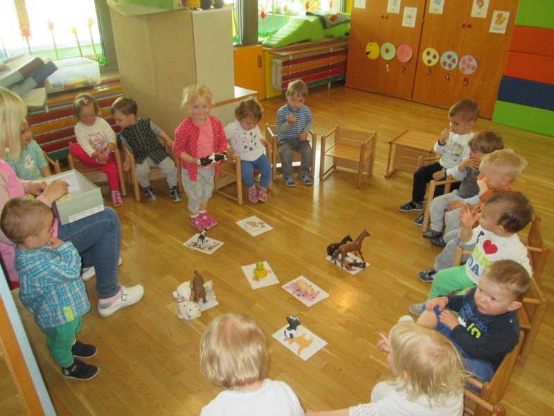 polzi_apr_2017_0006