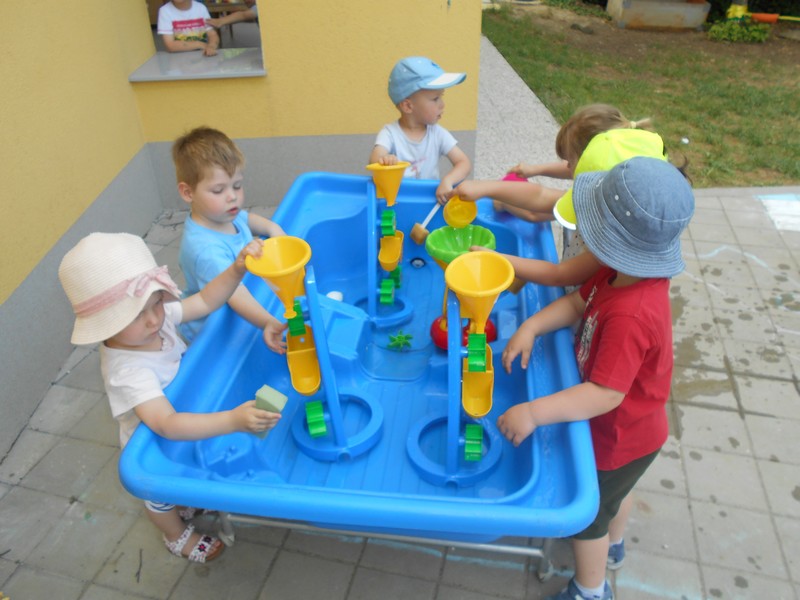 cebele_junij_2017_0007